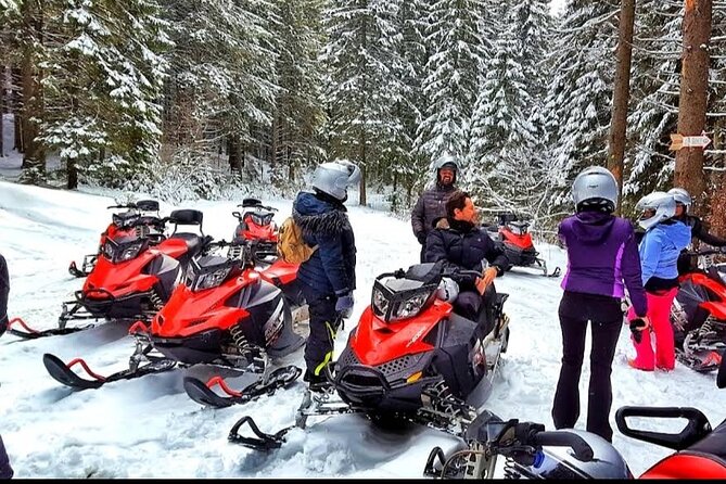 Snowmobiles, Sky Lift & Winter Sports - Private Tour - Snow, speed, and the limits of the season