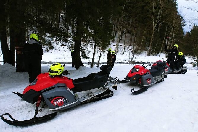 Snowmobiles, Sky Lift & Winter Sports - Private Tour - What the guide adds during the drive