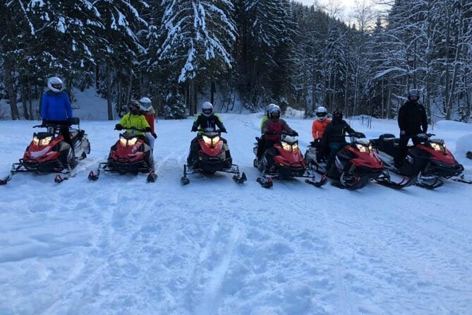 Snowmobiles, Sky Lift & Winter Sports - Private Tour - Price, cash, and the real value