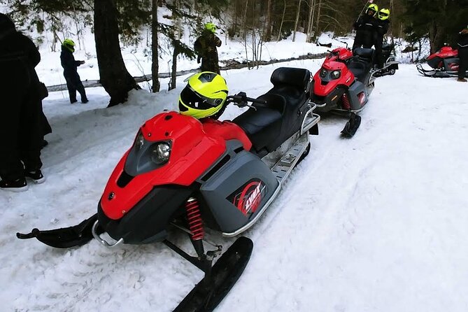 Snowmobiles, Sky Lift & Winter Sports - Private Tour - Who will enjoy this most