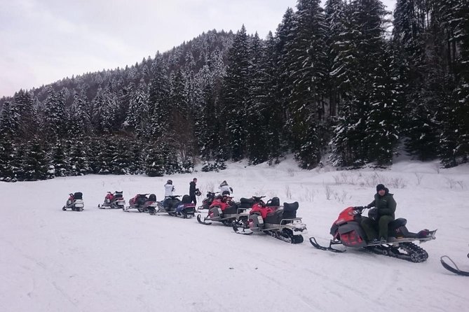SnowMobiles Tour in Carpathian Mountains - How the $229.30 price works for you