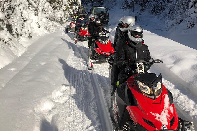 SnowMobiles Tour in Carpathian Mountains - Leaving Bucharest with pickup included