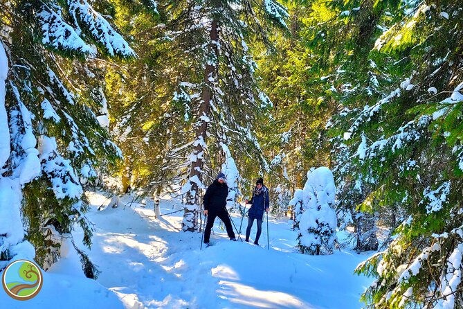 Snowshoeing Fun Tour from Cluj Napoca - Snowshoes, boots, and changing winter surfaces