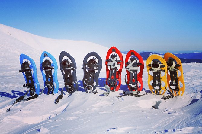 Snowshoeing Fun Tour from Cluj Napoca - Tudor’s guiding style and the value of a small group