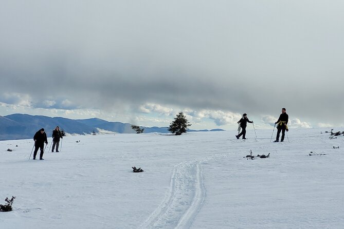 Snowshoeing Fun Tour from Cluj Napoca - Who will enjoy this Cluj winter outing