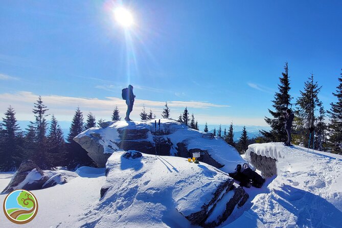 Snowshoeing Fun Tour from Cluj Napoca - The 3.5-hour walk through forest and viewpoints