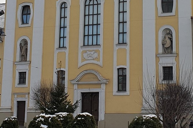 Targu Mures 3 hours walking tour - The mayor’s house and the central square