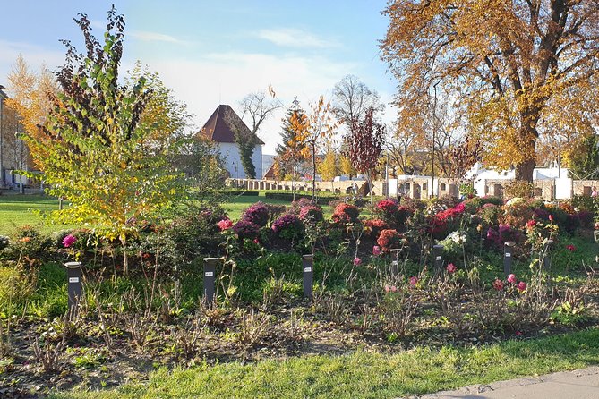 Targu Mures 3 hours walking tour - How the guide shapes the experience