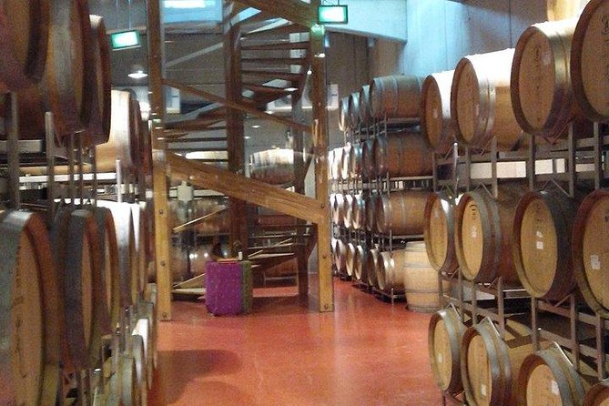 The Salt Mines, The Winery, The Muddy Volcanoes! The Fixers Private Tour - Why this makes a strong day outside Bucharest