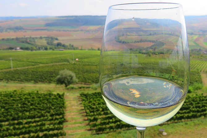 The wine route by bike - Key points before you book