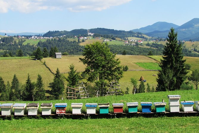The wine route by bike - The return ride and the value of car assistance