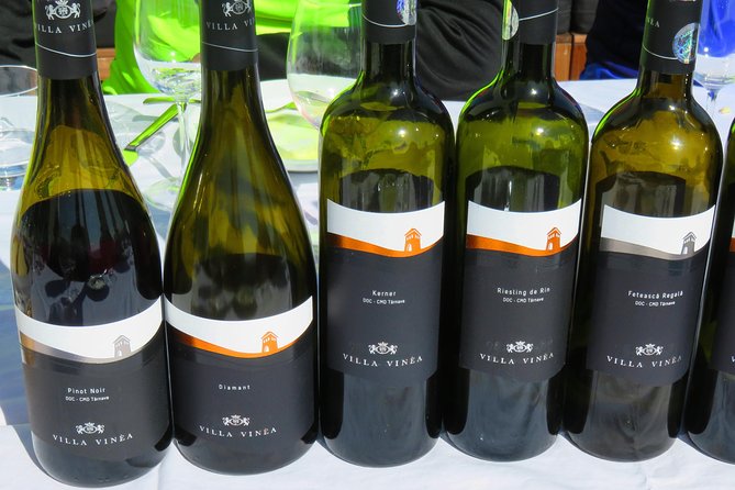 The wine route by bike - Fitness, comfort, and choosing the right route