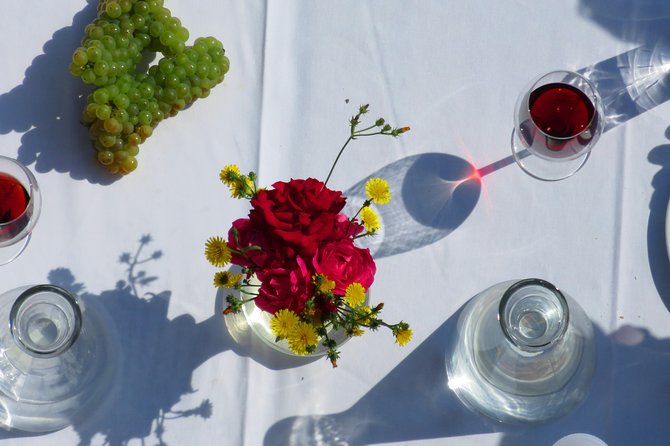 The wine route by bike - Bellu Manor adds a human beginning