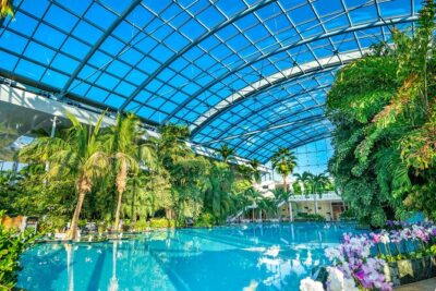 Therme Bucuresti: Entry Ticket and Transfer