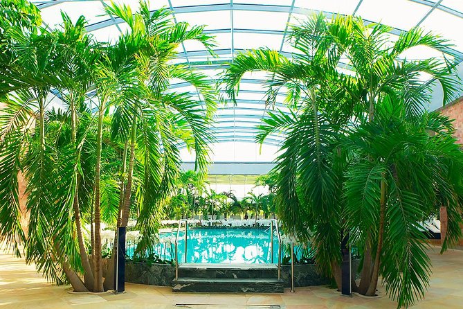 Therme Spa Ultimate Experience | Transfer - Full Access All Areas - Why Galaxy, Palm, and Elysium matter