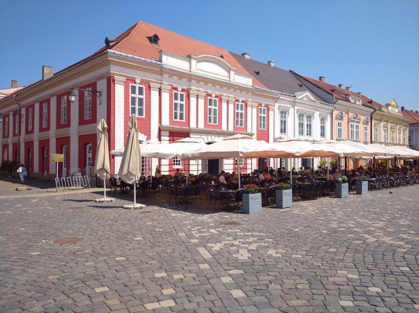 Timisoara Downtown Dream Tour - Pace, comfort, and who should take it