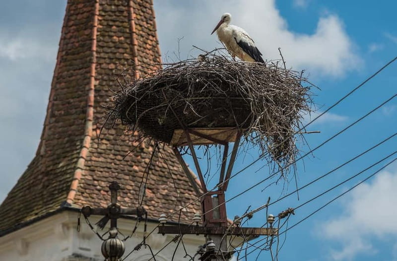 Tour of Sibiu - Church in Cristian - Village of Sibiel - What the transport and schedule mean for you