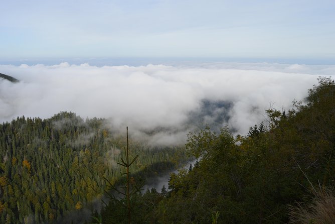Transfagarasan, Vidraru and Poenari Fortress Tour from Sibiu - A private vehicle, guide, and group of up to seven