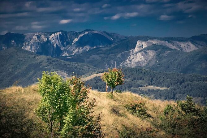 Transfer Bucharest -Brasov with Targoviste and Bran Castle visits - What the private vehicle changes