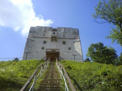 Transylvania: Cultural Full-Day Trip by Minivan