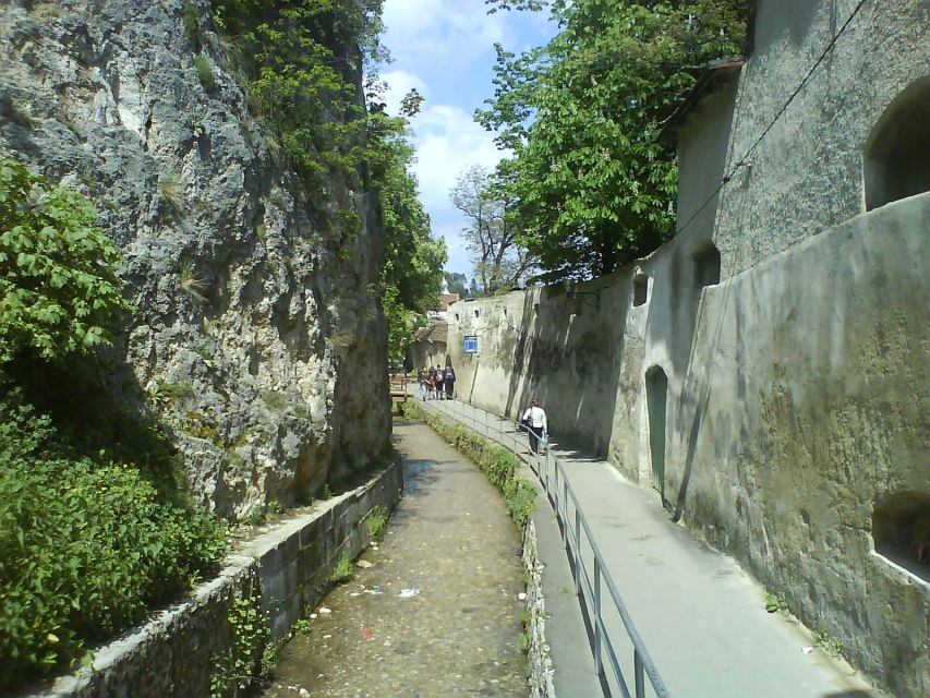 Transylvania: Cultural Full-Day Trip by Minivan - Lunch is flexible, but it is not included
