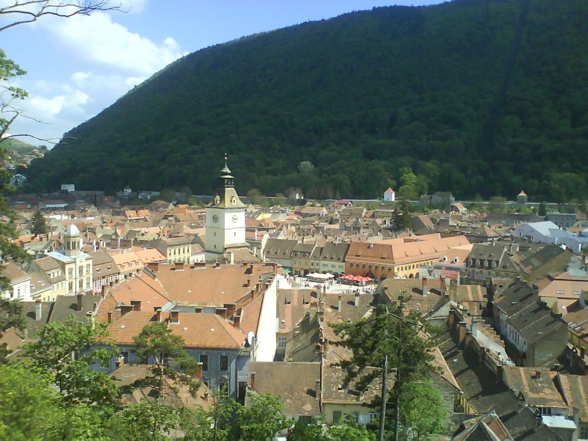 Transylvania: Cultural Full-Day Trip by Minivan - What the guide adds to a packed day