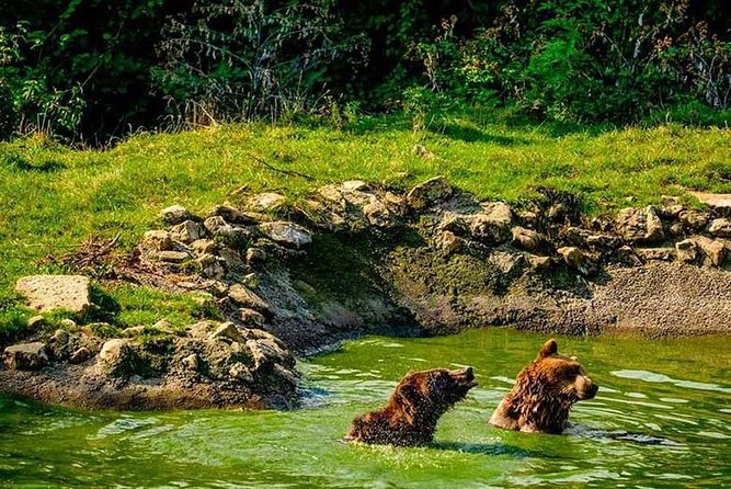 Transylvania with Dracula Castle, Bear Sanctuary and Brasov - Transport, guides, and group size
