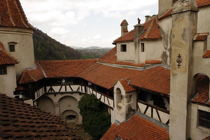 Transylvania with Dracula Castle, Bear Sanctuary and Brasov - Is $155 a fair price?
