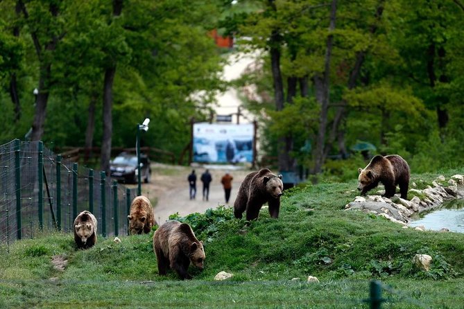 Transylvania with Dracula Castle, Bear Sanctuary and Brasov - The long morning drive into the Carpathians