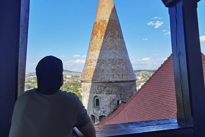 Turda Salt Mine, Corvin Castle and Alba Fortress from Cluj - The vehicle, pace, and practical effort
