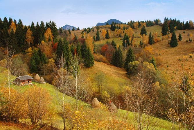 Two days tour to Bucovina & UNESCO Painted Monasteries - The private vehicle and guide setup