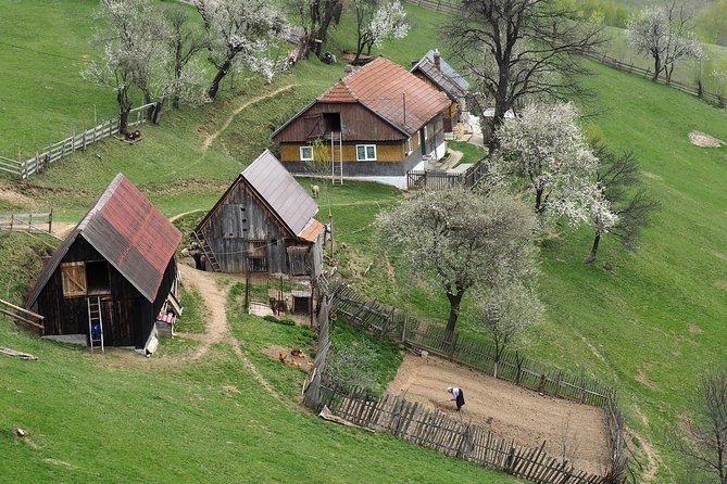 Village life in Transylvanian Carpathian mountains - 8 days - Key points at a glance