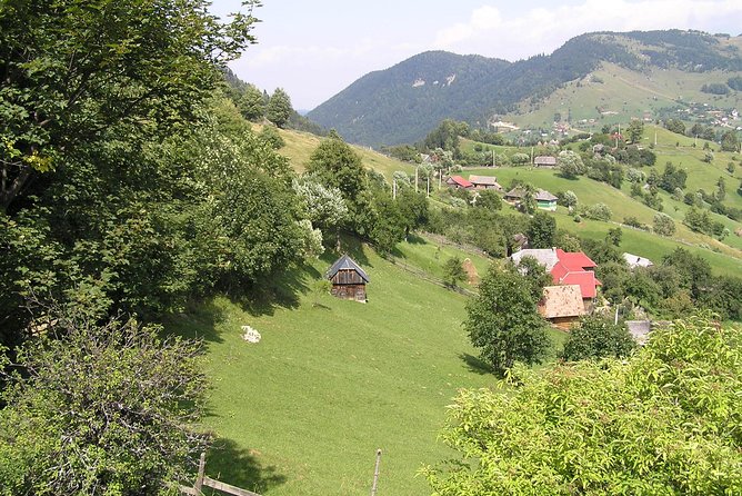 Village life in Transylvanian Carpathian mountains - 8 days - Why this Carpathian trip feels different