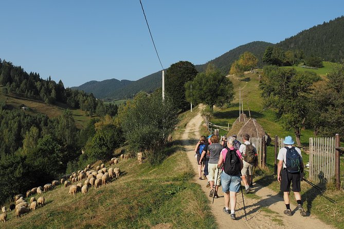 Village life in Transylvanian Carpathian mountains - 8 days - Day three: Zărnești Gorge and Curmătura Hut