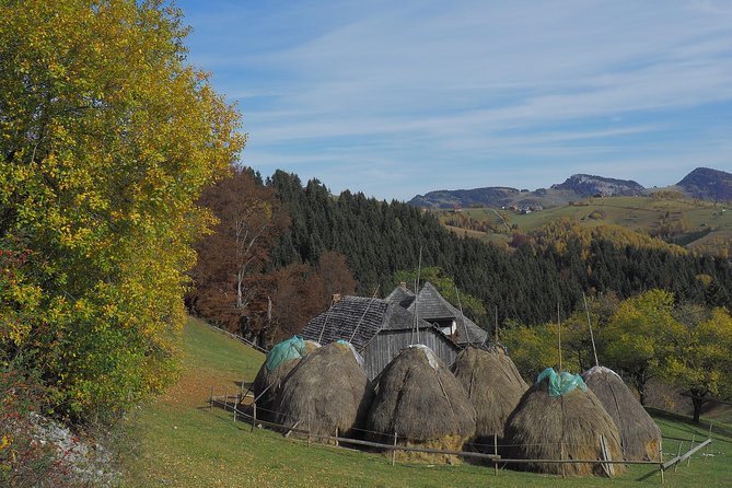 Village life in Transylvanian Carpathian mountains - 8 days - Day four: Six villages between Magura and Fundata