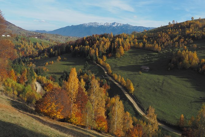 Village life in Transylvanian Carpathian mountains - 8 days - Day six: Bucegi’s quieter northern side