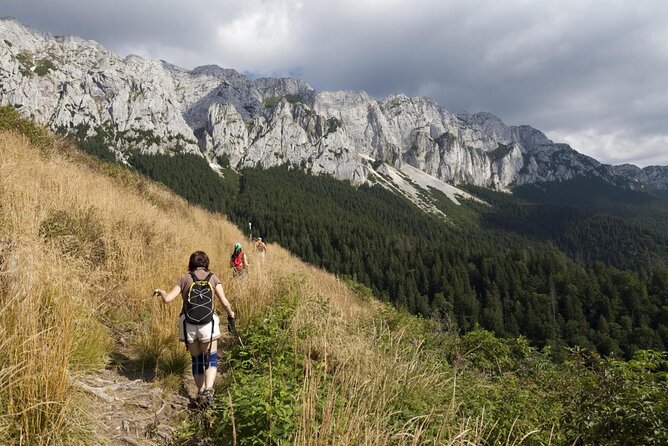 Village life in Transylvanian Carpathian mountains - 8 days - Day two: Bran Castle, then the path to Magura