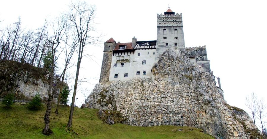 Visit Bear Sanctuary and Bran Castle from Brasov - Key points at a glance