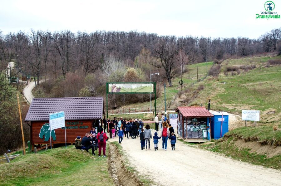 Visit Bear Sanctuary and Bran Castle from Brasov - What makes LiBEARty Sanctuary worth your time