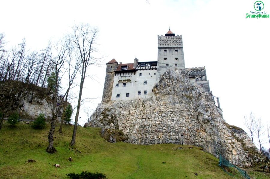 Visit Bear Sanctuary and Bran Castle from Brasov - The road from bears to Bran Castle