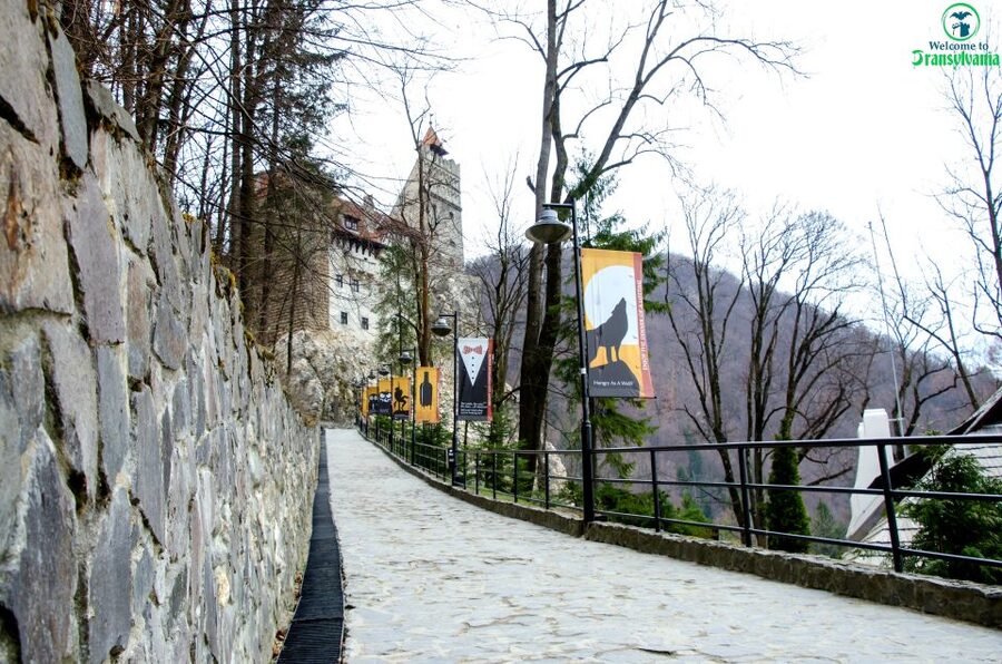 Visit Bear Sanctuary and Bran Castle from Brasov - Returning to Brașov with useful extras