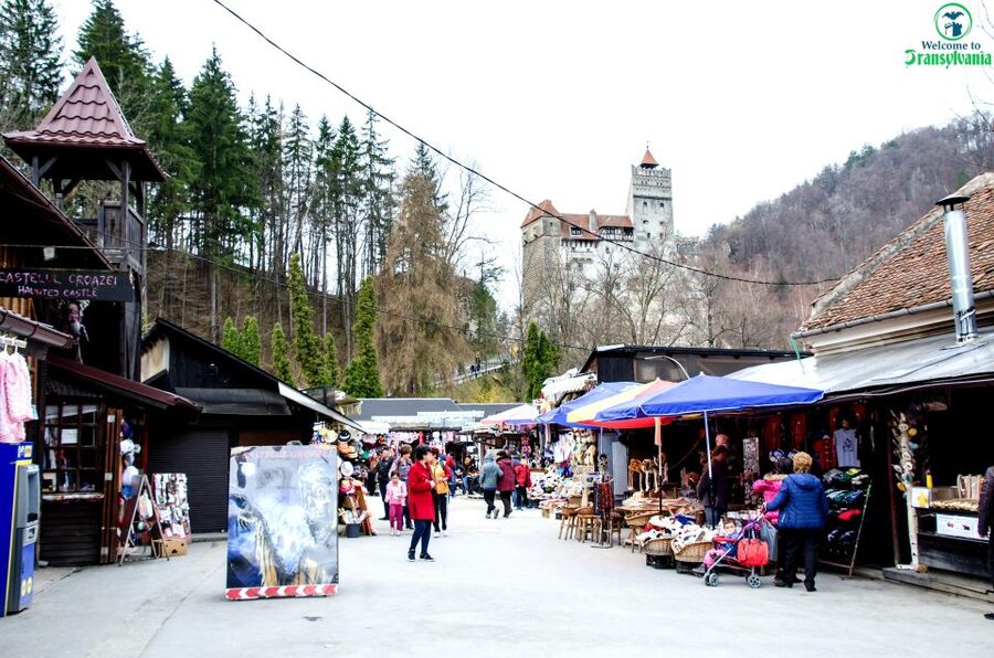 Visit Bear Sanctuary and Bran Castle from Brasov - Leaving Brașov for Zărnești