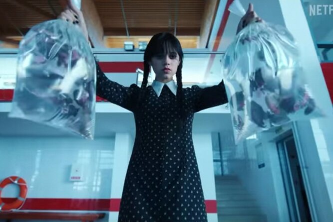 Wednesday Adams Family - Visit 6 filming locations, Private tour - Bucharest Botanical Garden and the botany laboratory