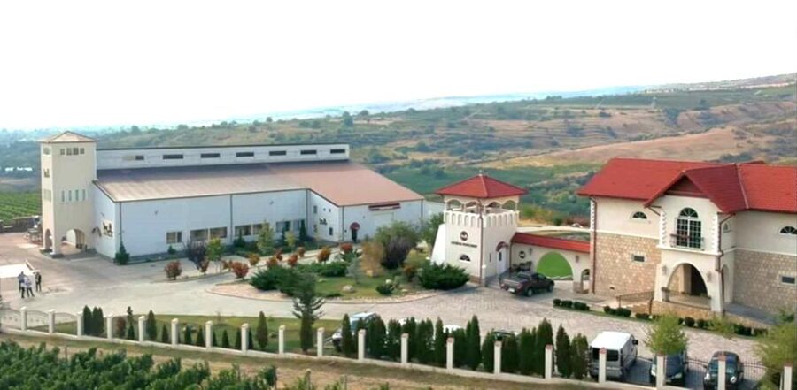 Winery touring & private wine tasting - one day private tour - Boutique wineries instead of a rushed group visit