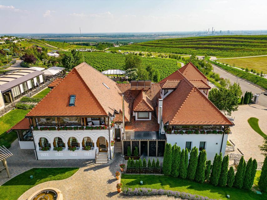 Winery touring & private wine tasting - one day private tour - Afternoon tastings and the final valley view