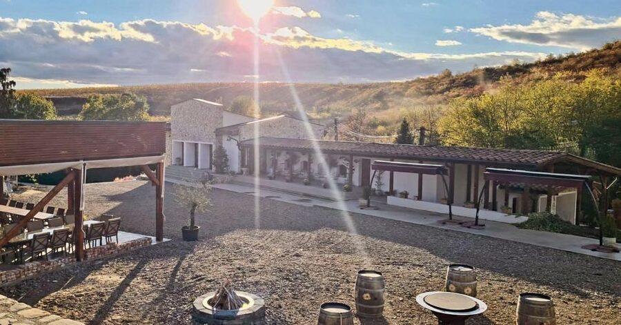 Winery touring & private wine tasting - one day private tour - The old cellar museum and Romania’s wine traditions